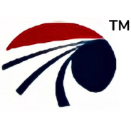 DataForesight Logo